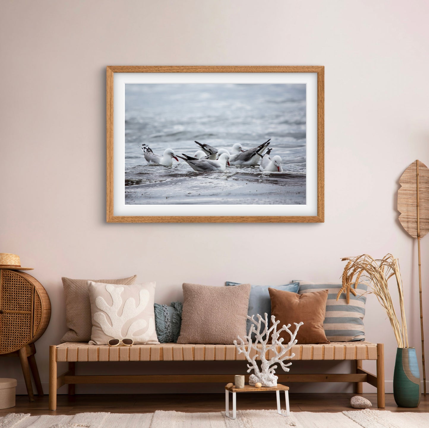 Silver Gulls