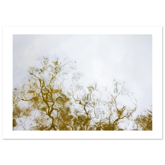 baa23054-76b0-452a-b2f0-73314389ce66